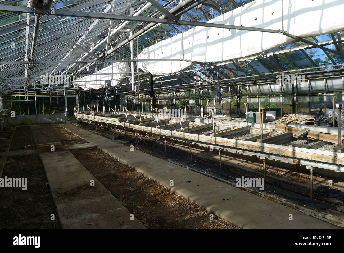 A large empty commercial greenhouse that is about to undergo repair and restoration. Stock Photo