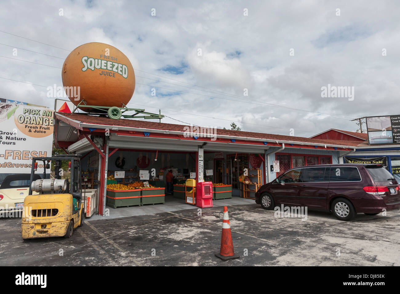 Citrus display hires stock photography and images Alamy