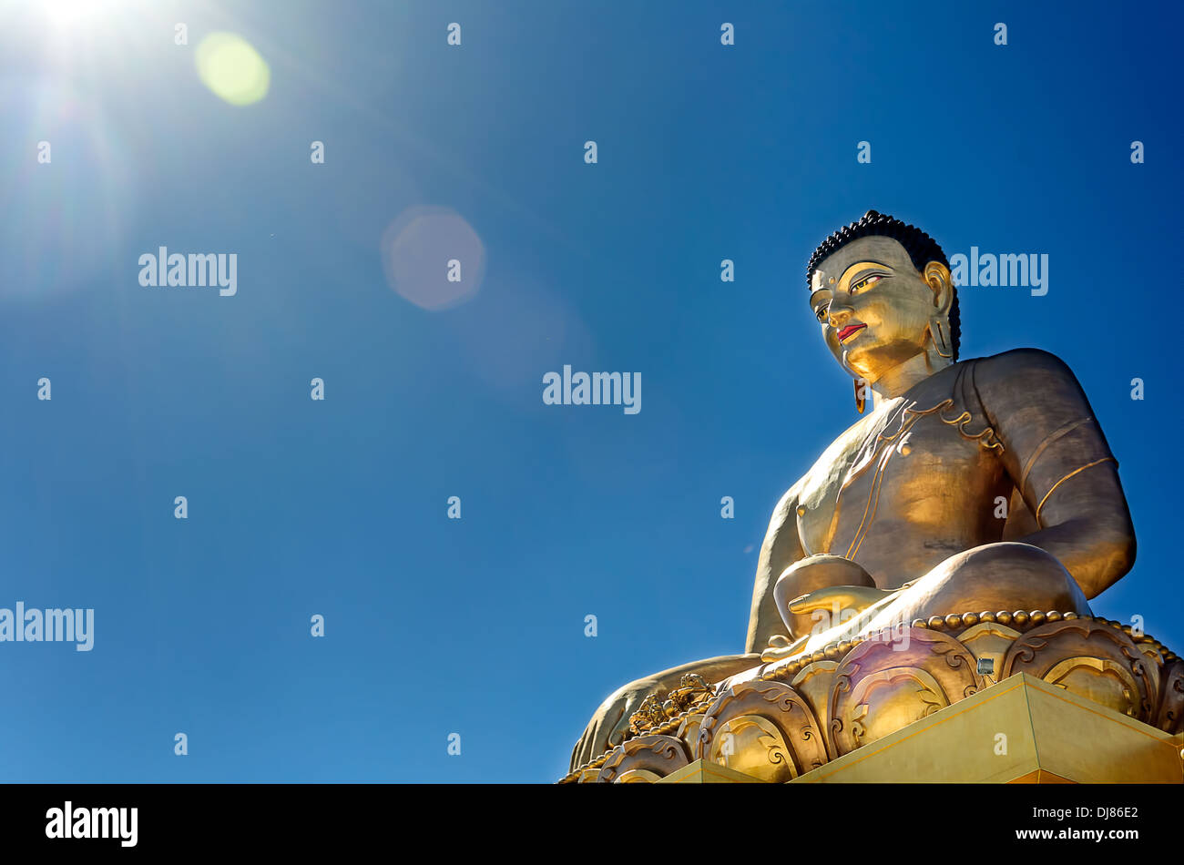 image not described image