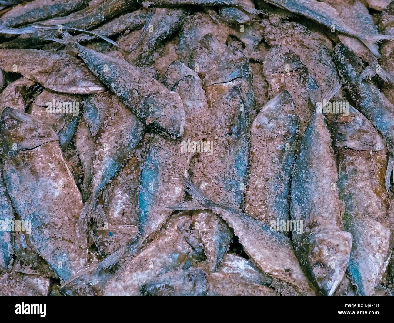 Dry fishes at fish market for sale, India Stock Photo