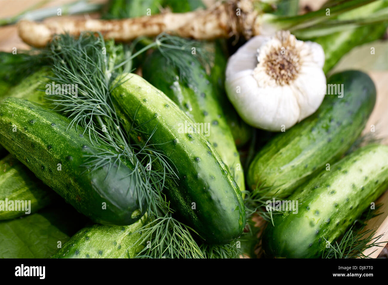 Fresh cucumbers and ingredients,homemade preserves Stock Photo