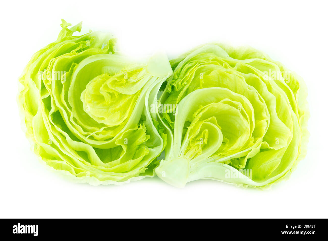 Fresh Green Iceberg lettuce Stock Photo Alamy