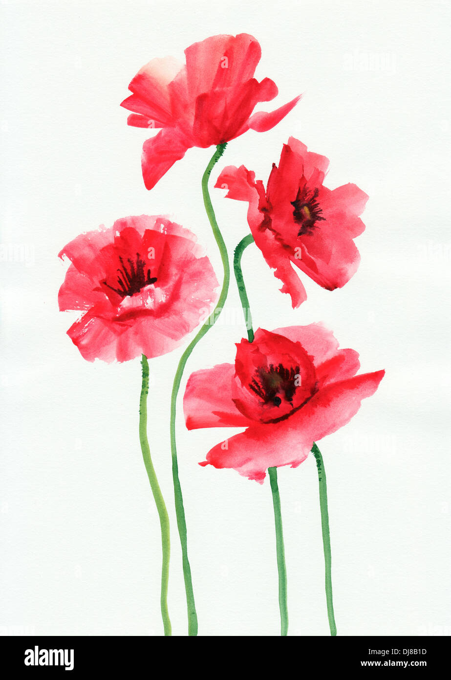 Watercolor painting of red poppies, original style painting Stock Photo ...