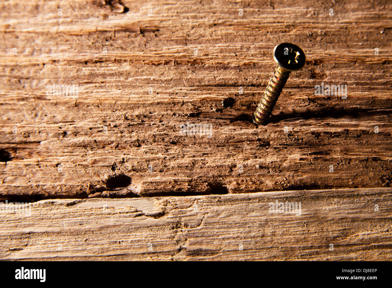 Screw in piece of old wood close up Stock Photo