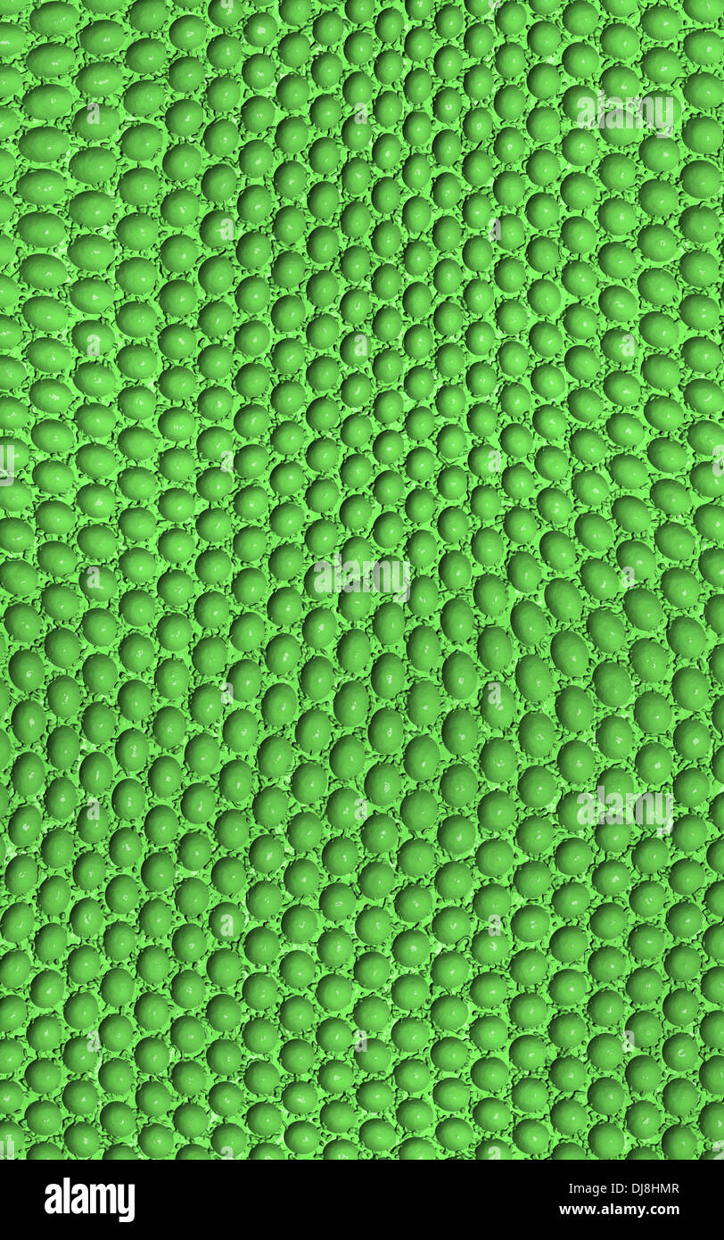 Rattlesnake skin texture close up hi-res stock photography and images ...