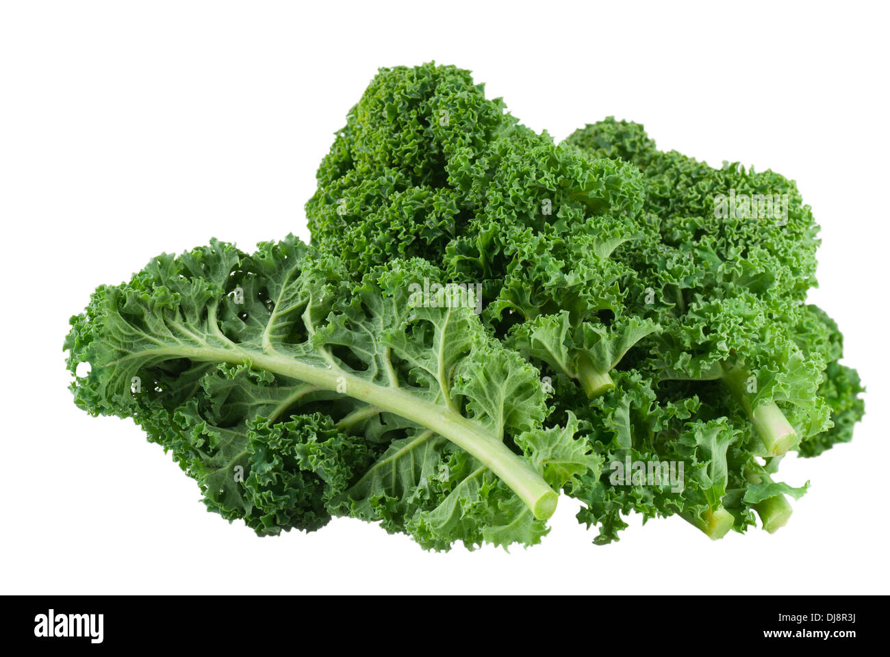 Fresh green kale. Isolated. White background Stock Photo - Alamy