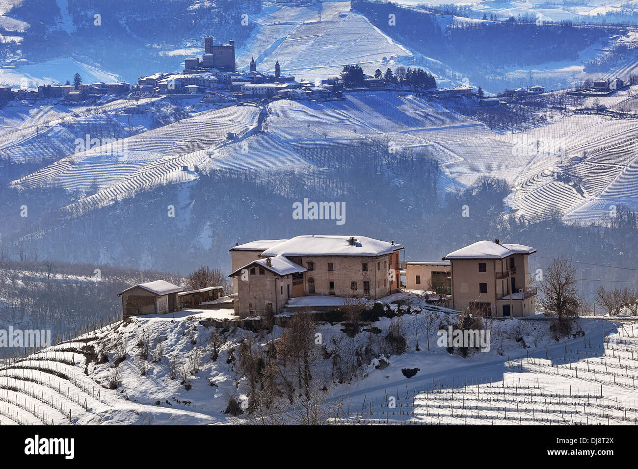 Rural house on the hill and vineyards covered with snow in Piedmont ...