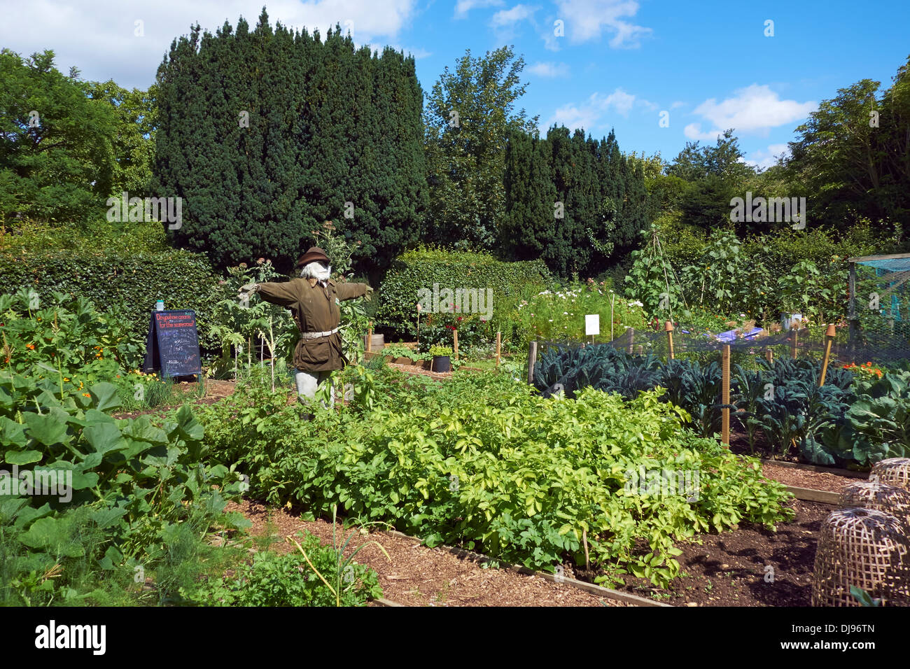 A scarecrow in the vegetable garden at Nunnington Hall, North Yorkshire. Stock Photo