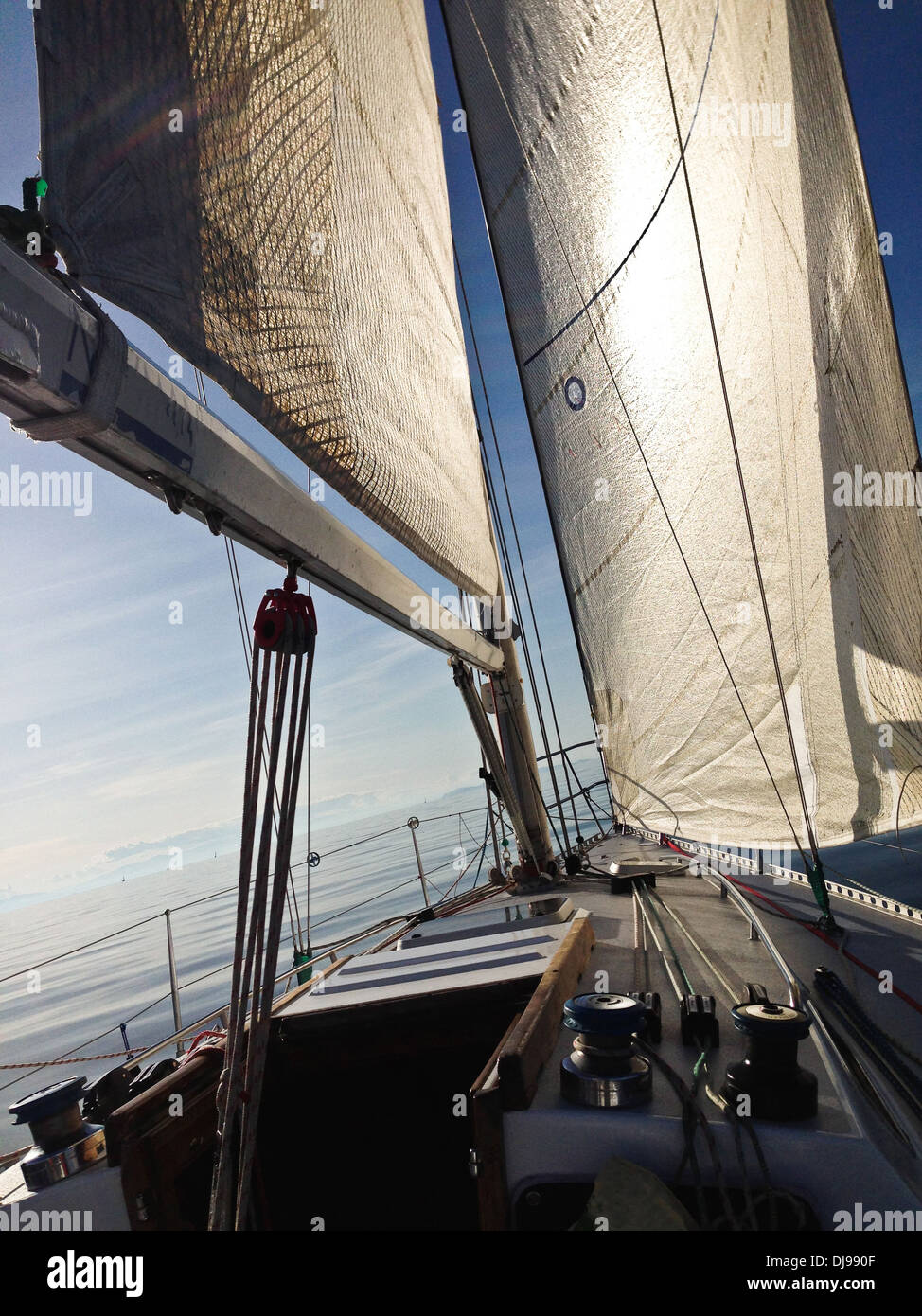 Sailboat on ocean - Smartphone Captured Stock Image