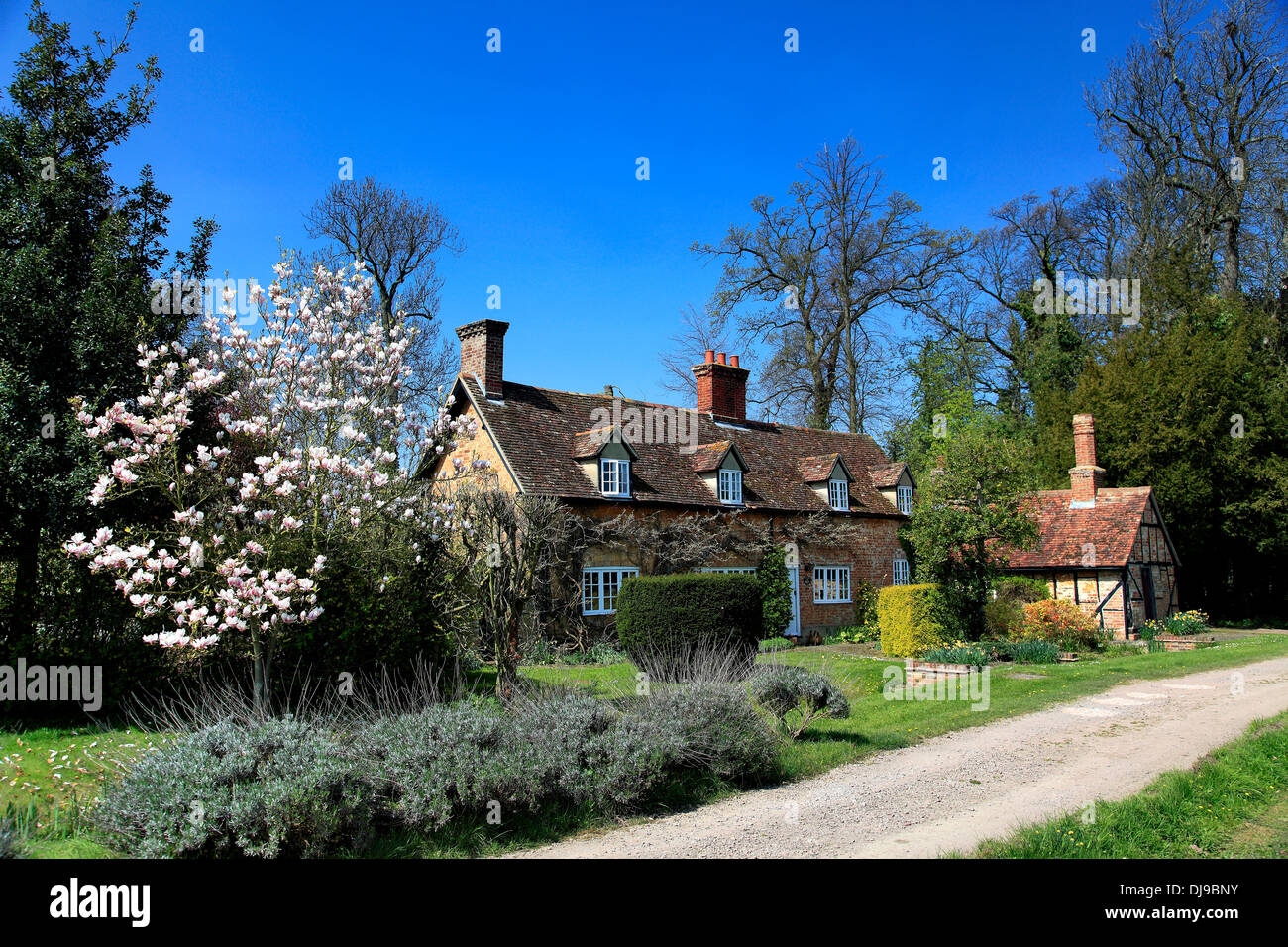 Cottage in the village of Ickwell Green, Bedfordshire England, UK Stock