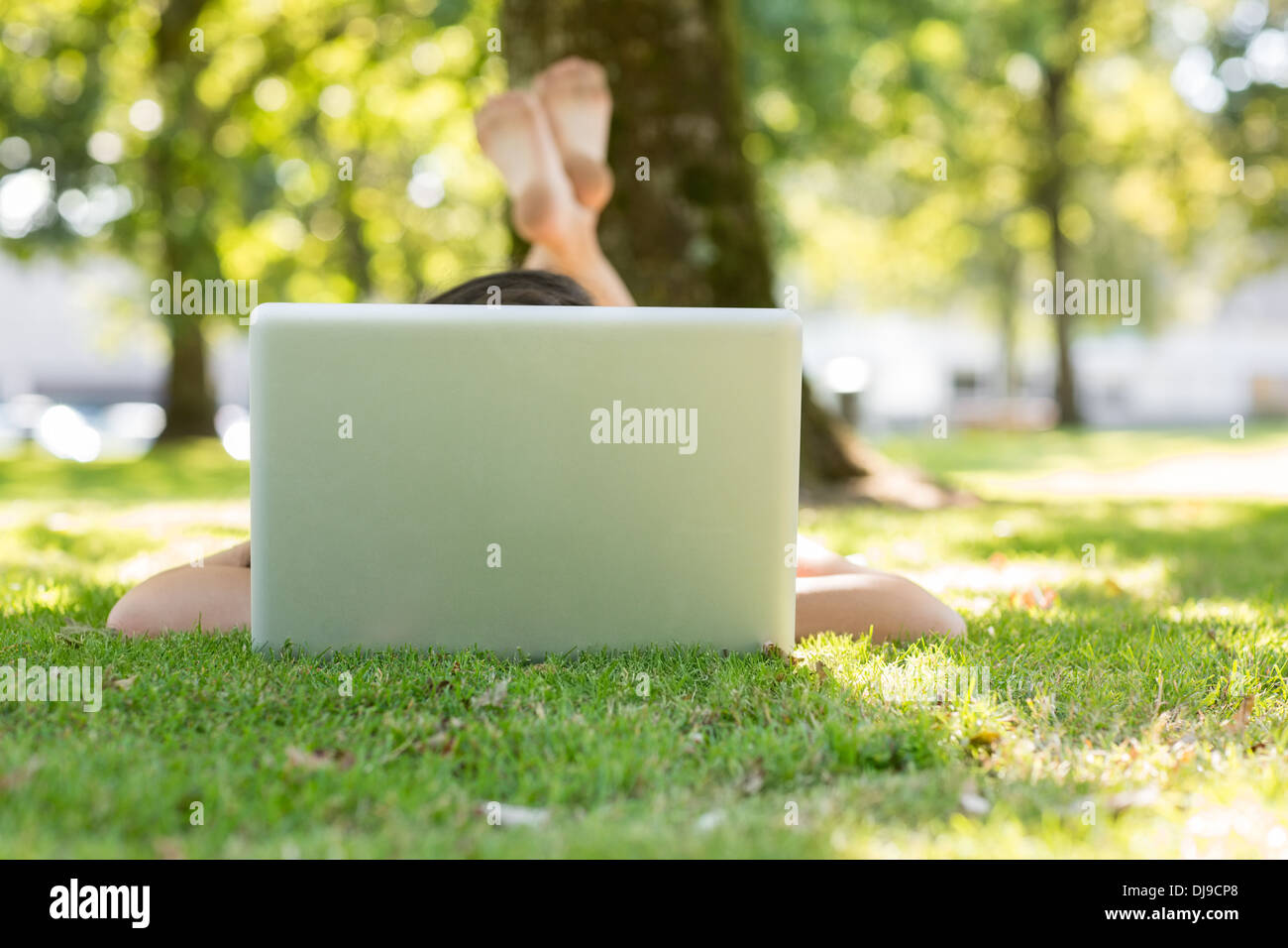 Brunette lying on the grass typing at her laptop Stock Photo - Alamy