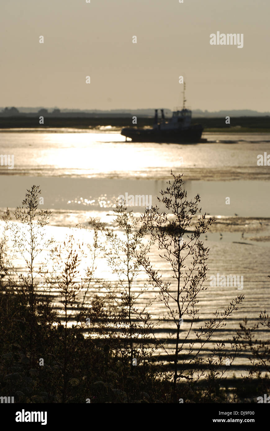 Sunrise on the River Blackwater at Heybridge Stock Photo Alamy