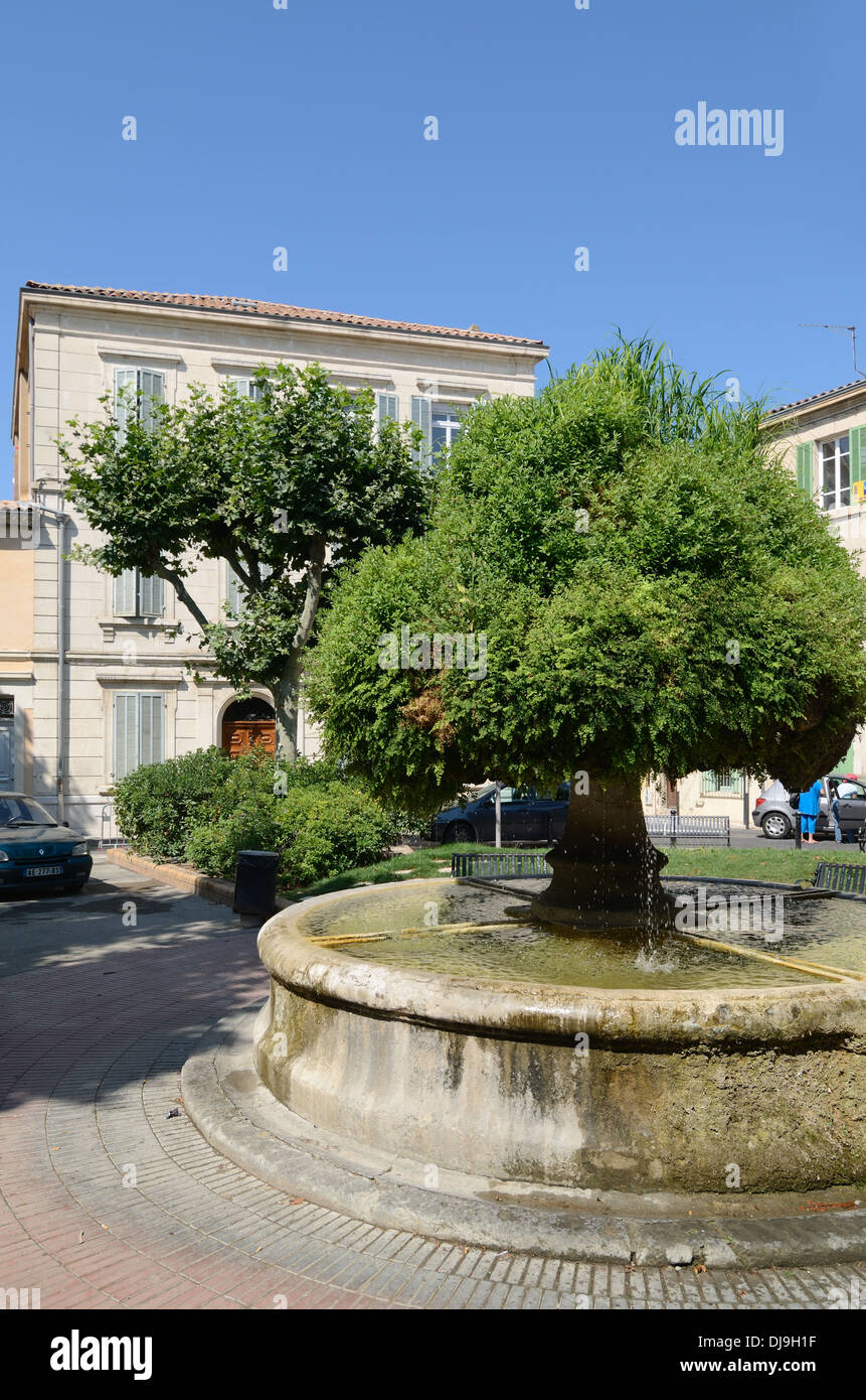 Moss-Covered Fountain, Mossy Fountain or Fontaine Moussue on Place Louis Blanc Town Square, Salon de Provence or Salon-de-Provence Provence France Stock Photo