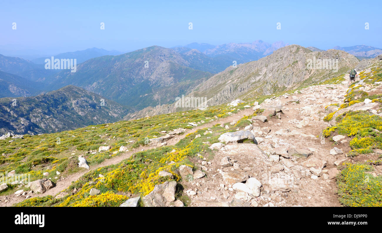 rocky trail GR 20 in Corsica through the mountain Stock Photo