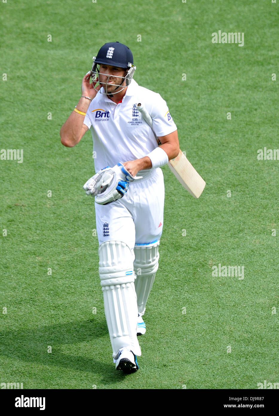 Brisbane, Australia. 22nd Nov, 2013. MATT PRIOR Gabba Cricket Ground