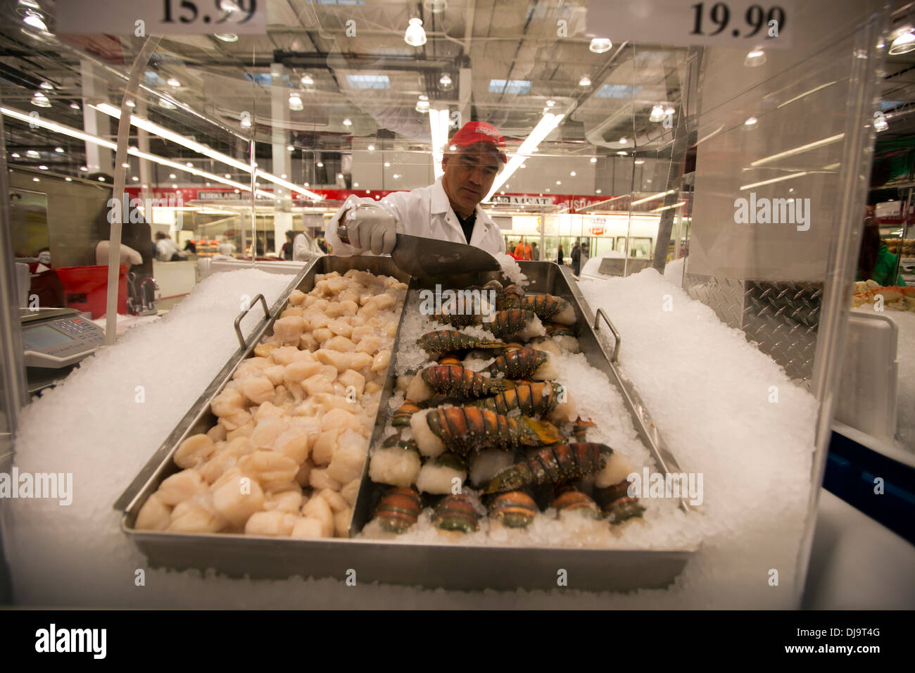 Male Hispanic COSTCO warehouse store employee places ice on fresh seafood at new store in Cedar
