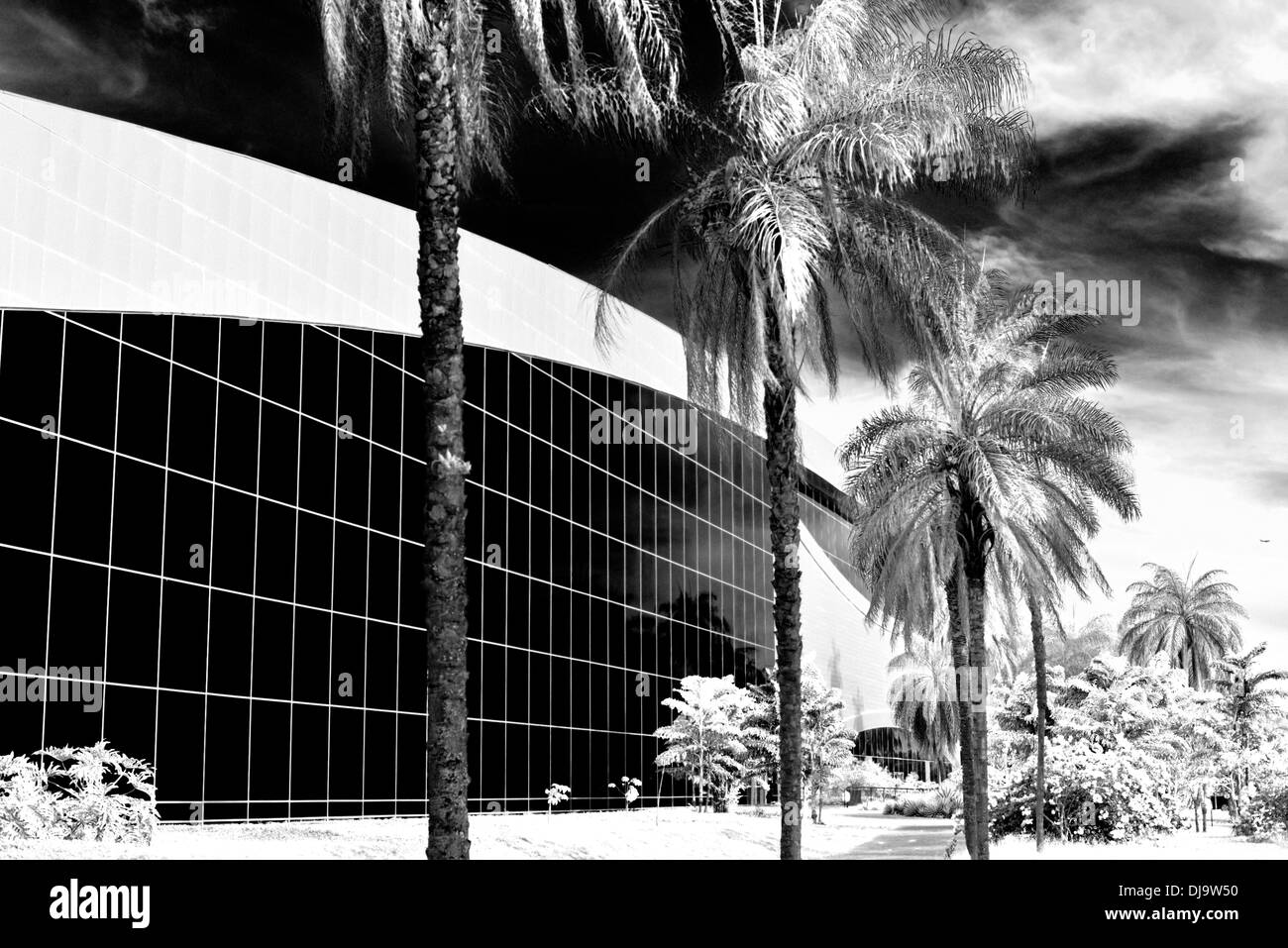 Brazil, Brasilia: Palm trees and Glass facade of the Convention Center Ulysses Guimaraes Stock Photo