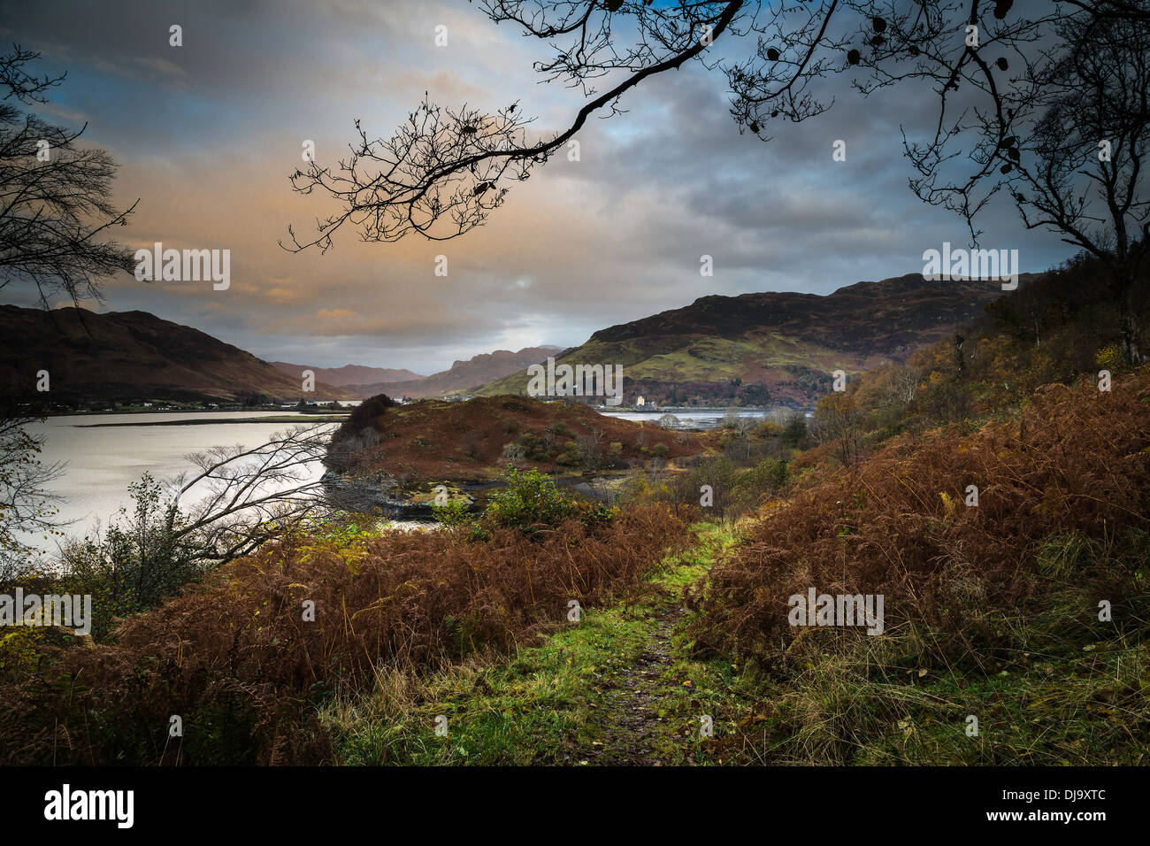 Autumn colours in the Western Highlands at Dornie, Loch Alsh, Scotland Stock Photo