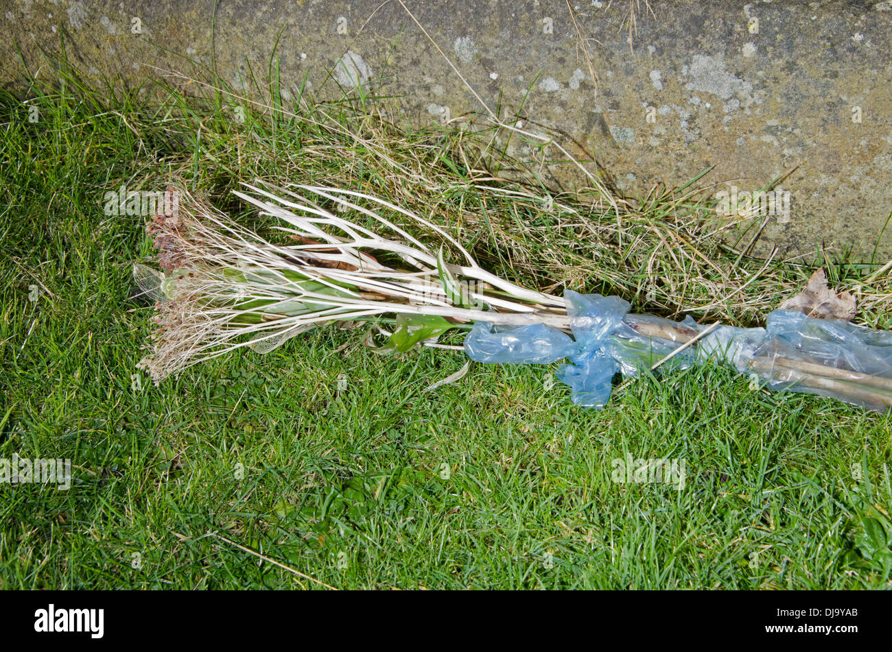 Bouquet of flowers left at grave Stock Photo Alamy