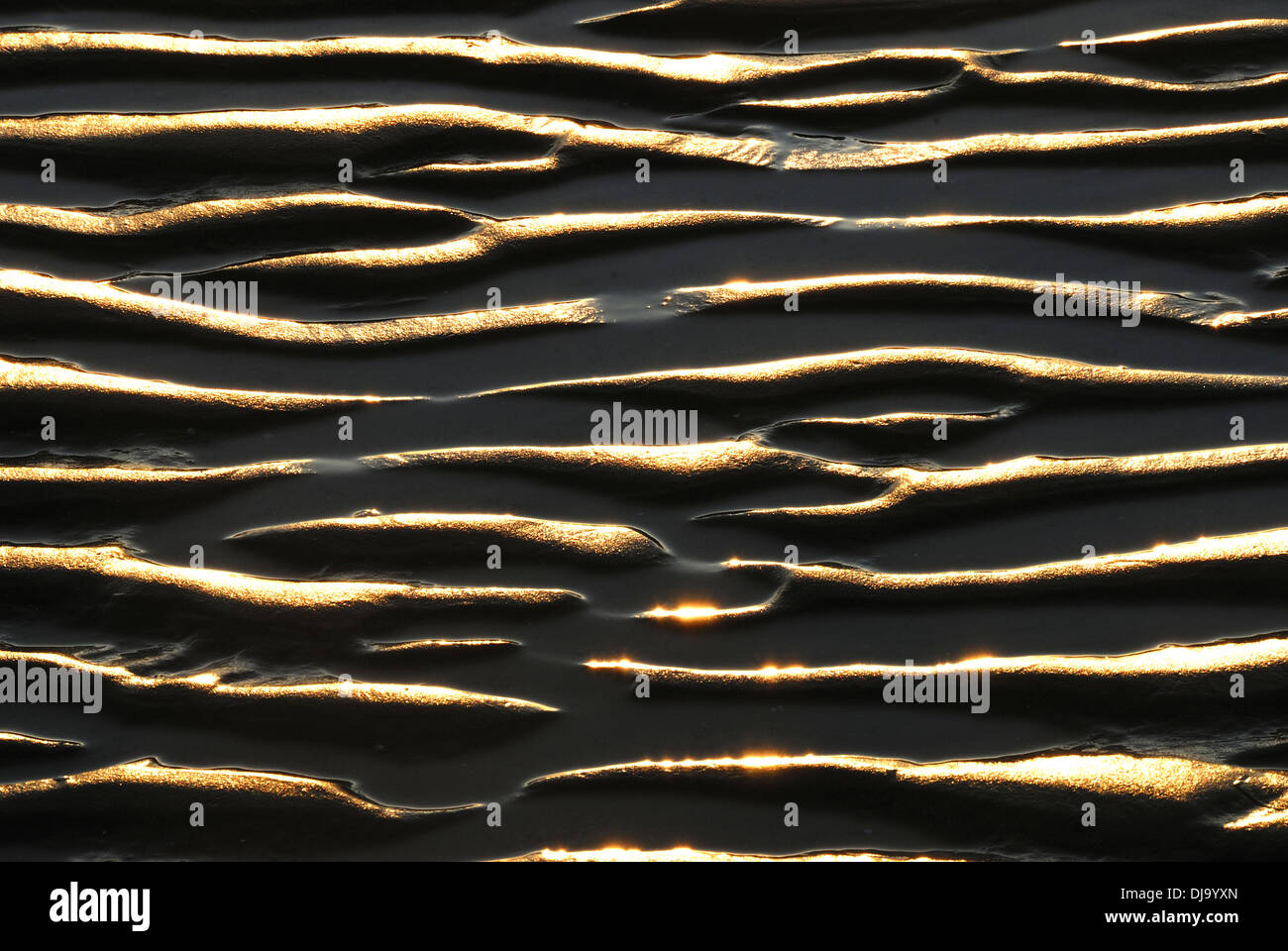 Sunlight catching sand ripples at low tide UK Stock Photo