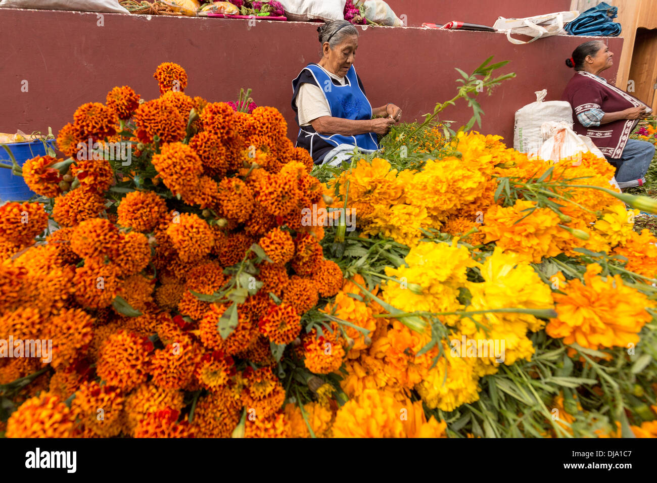 An Elderly Mexican Woman Selling Flowers Used For Honoring Gravesides For The Day Of The Dead Festival Known In Spanish As Dia De Muertos October 31 2013 In Oaxaca Mexico Stock Photo Alamy