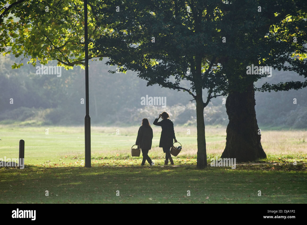 London picnic park wandsworth hi-res stock photography and images - Alamy