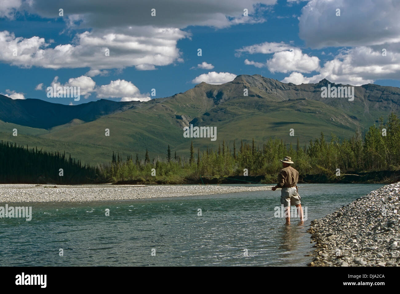 Man Fly Fishing John River/Nalaska Arctic Summer Stock Photo