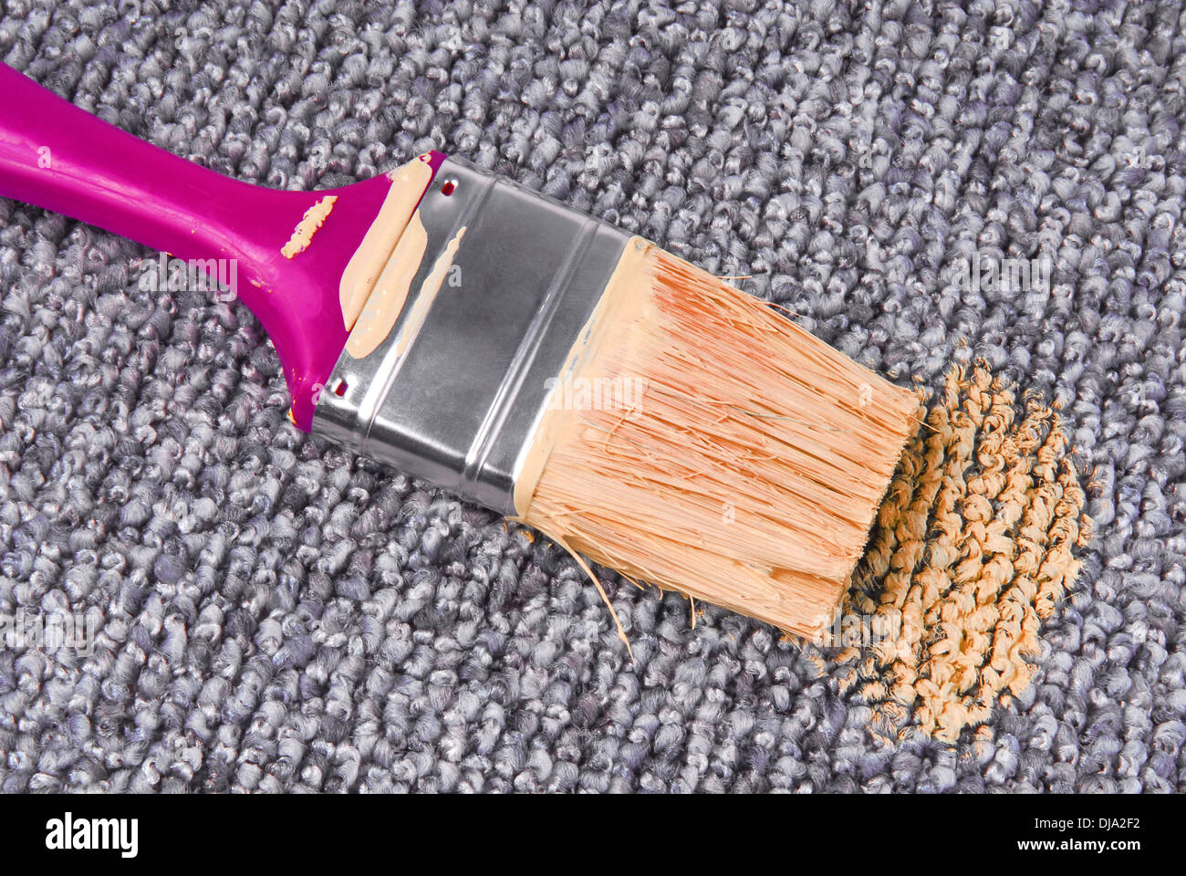 stained carpet with paint brush Stock Photo Alamy