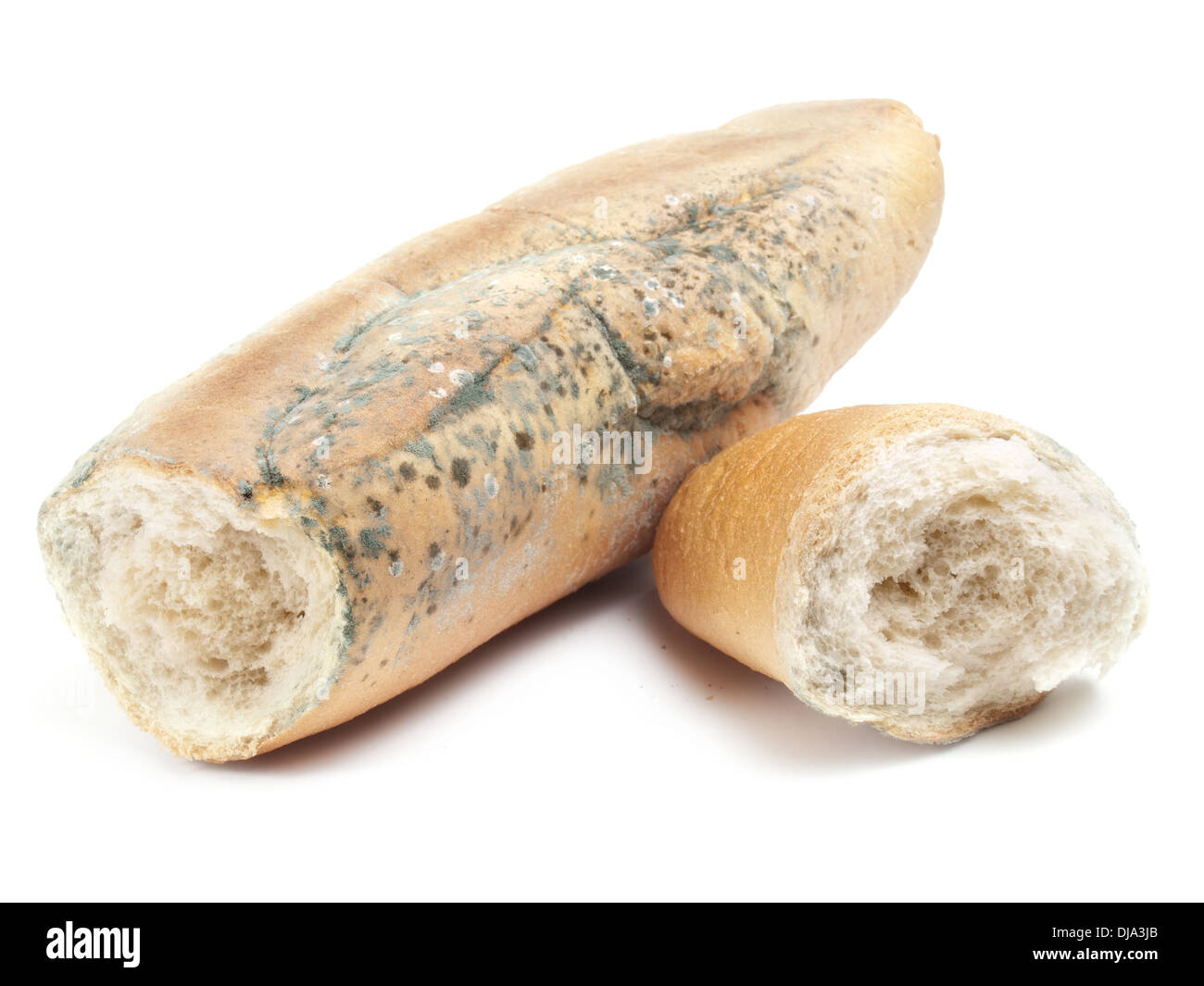 https://c8.alamy.com/comp/DJA3JB/two-parts-of-an-old-mold-bread-on-a-white-background-DJA3JB.jpg