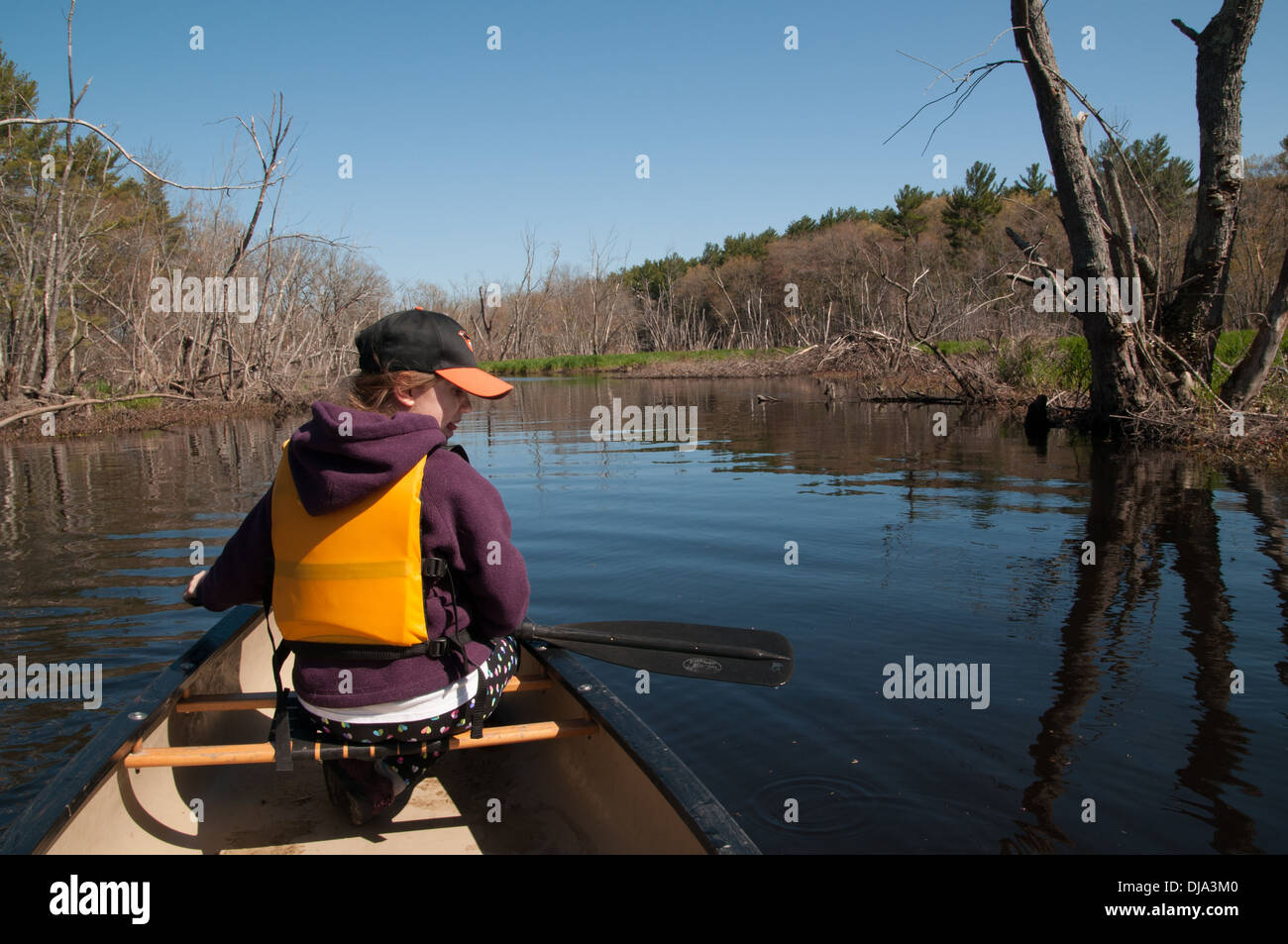 11 year old girl paddling on the Ipswich River, Topsfield, MA Stock Photo