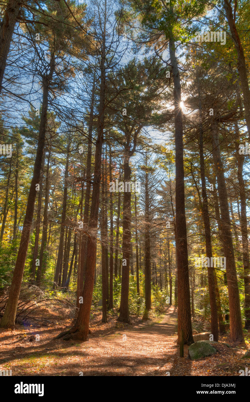 Gloucester ma hiking High Resolution Stock Photography and Images Alamy