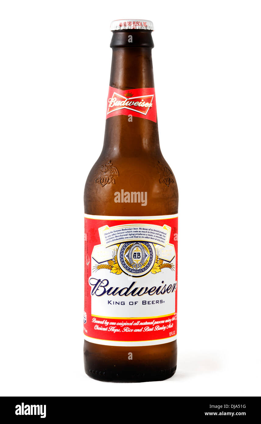 A 12oz bottle of cold frosted Budweiser beer, USA Stock Photo