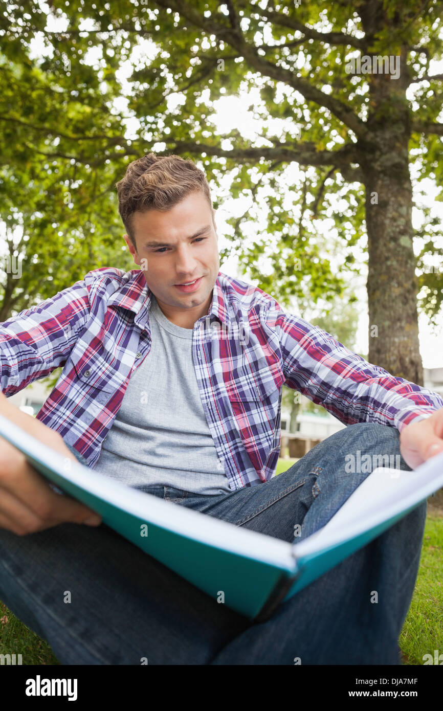 Handsome serious student sitting on grass studying Stock Photo
