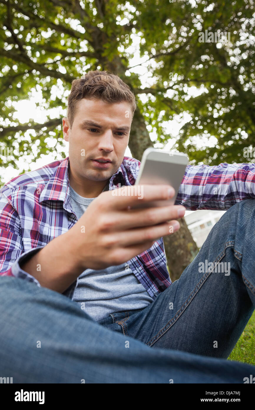 Handsome serious student sitting on grass texting Stock Photo