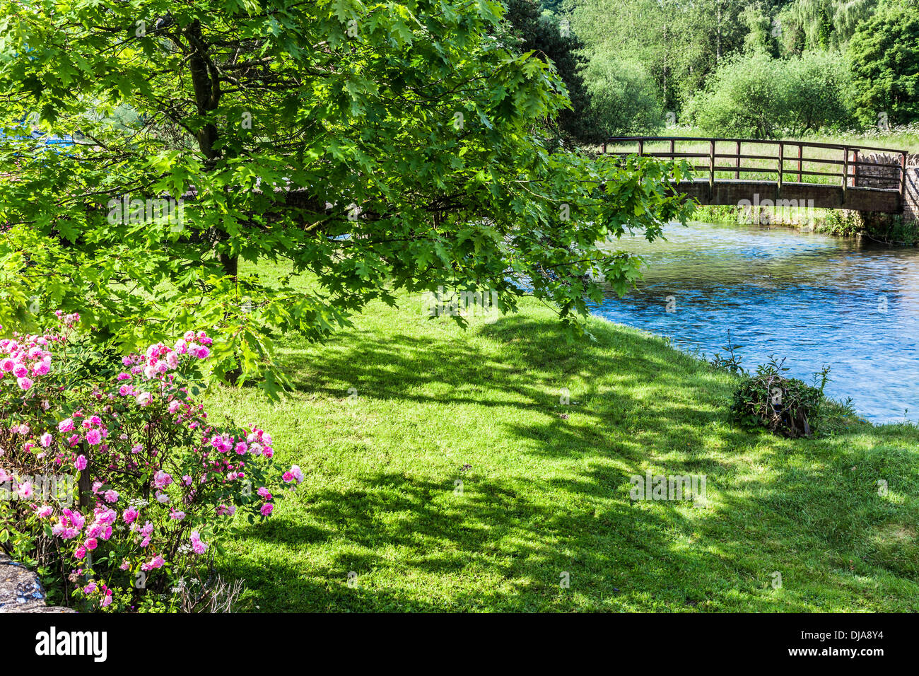 View over the River Coln and the pretty wooden footbridge at Bibury in the Cotswolds. Stock Photo