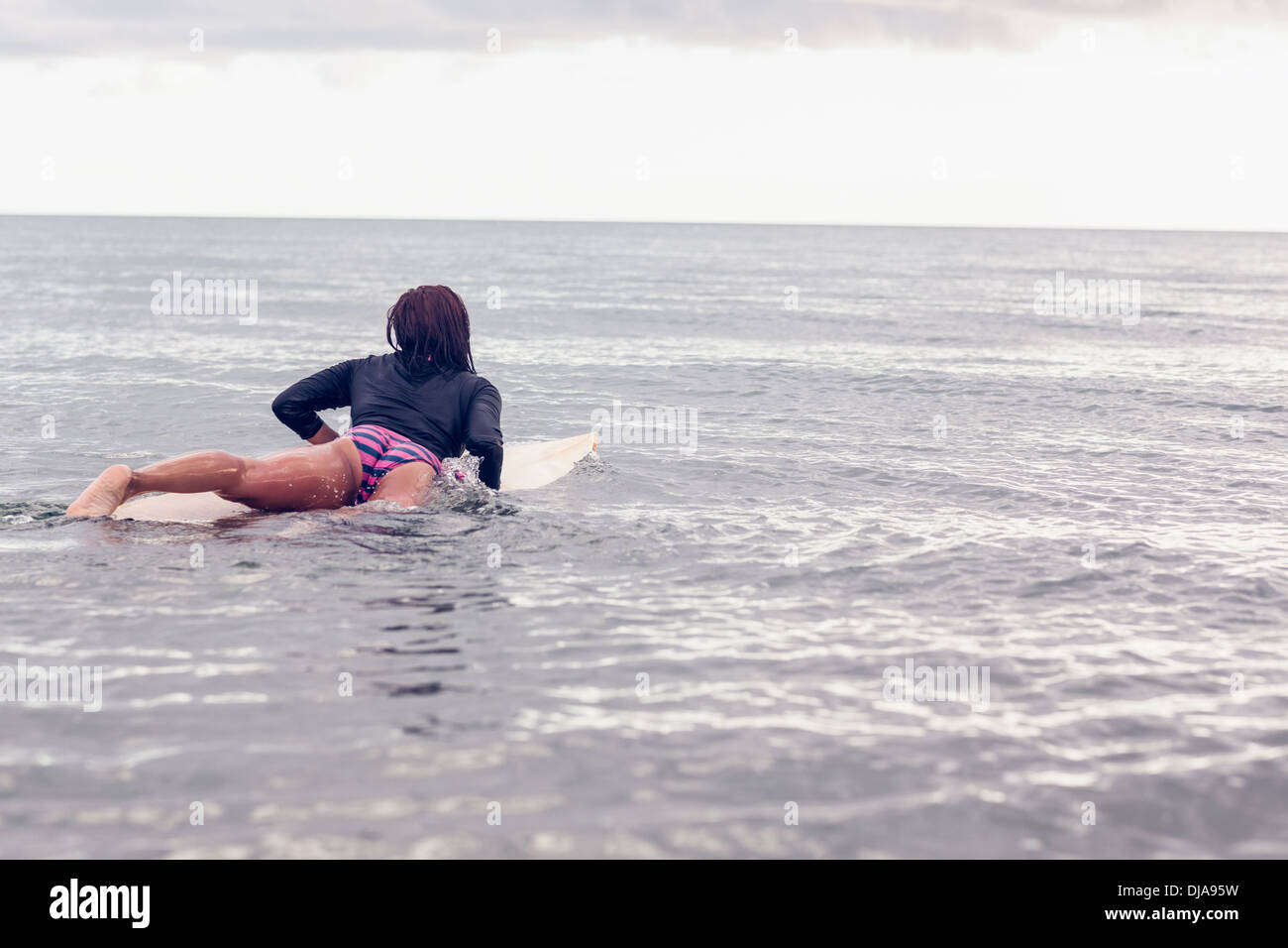 Woman Lying On Surfboard In Hi Res Stock Photography And Images Alamy