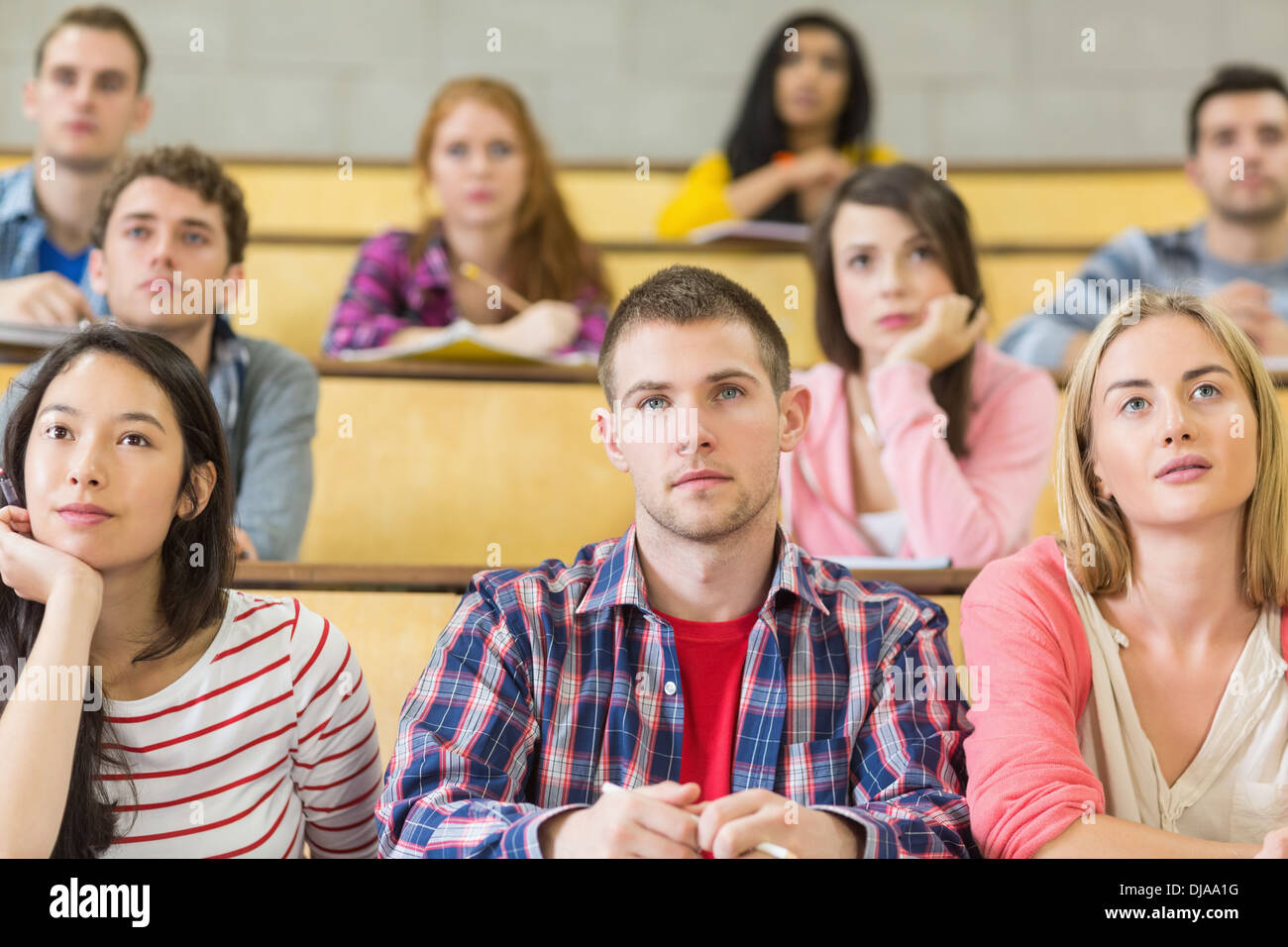 Students at the college lecture hall Stock Photo