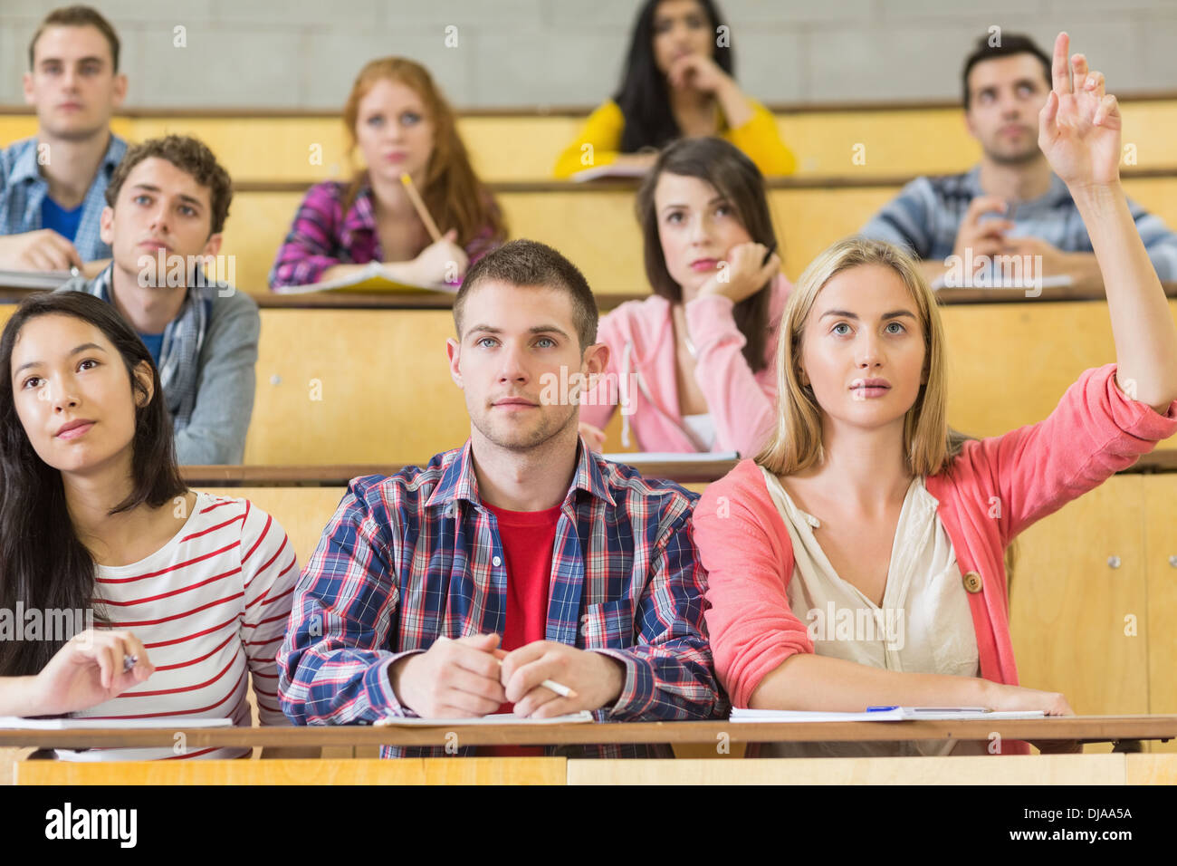 Concentrating students at the lecture hall Stock Photo