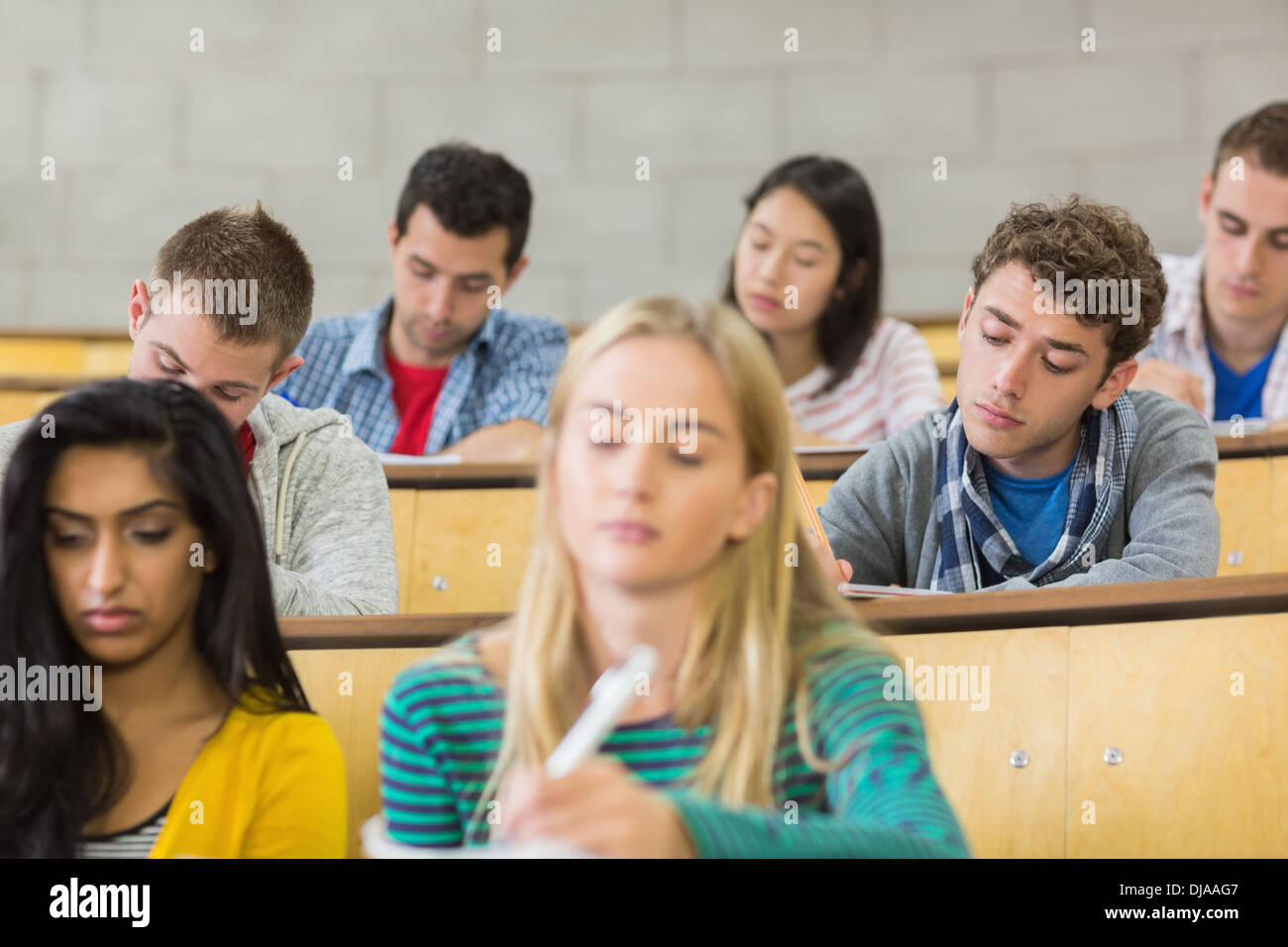Concentrating students sitting at lecture hall Stock Photo
