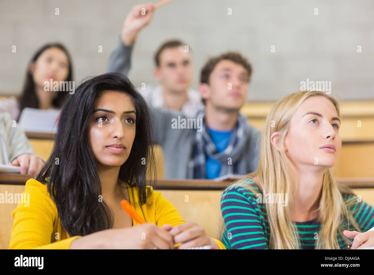 Concentrating students at the lecture hall Stock Photo