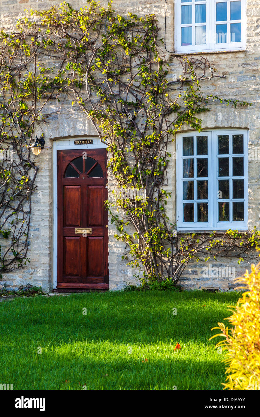 Front door uk plant hires stock photography and images Alamy
