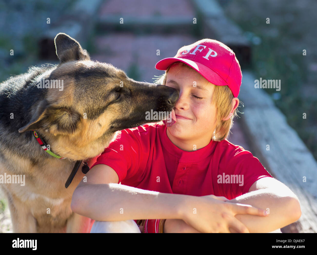 Dog licking Caucasian boy's face Stock Photo