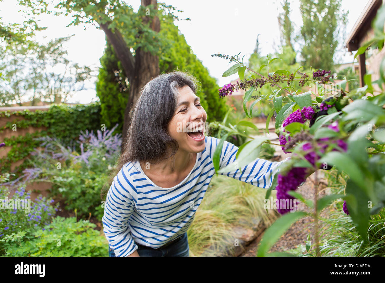 Hispanic woman looking at flowers in garden Stock Photo