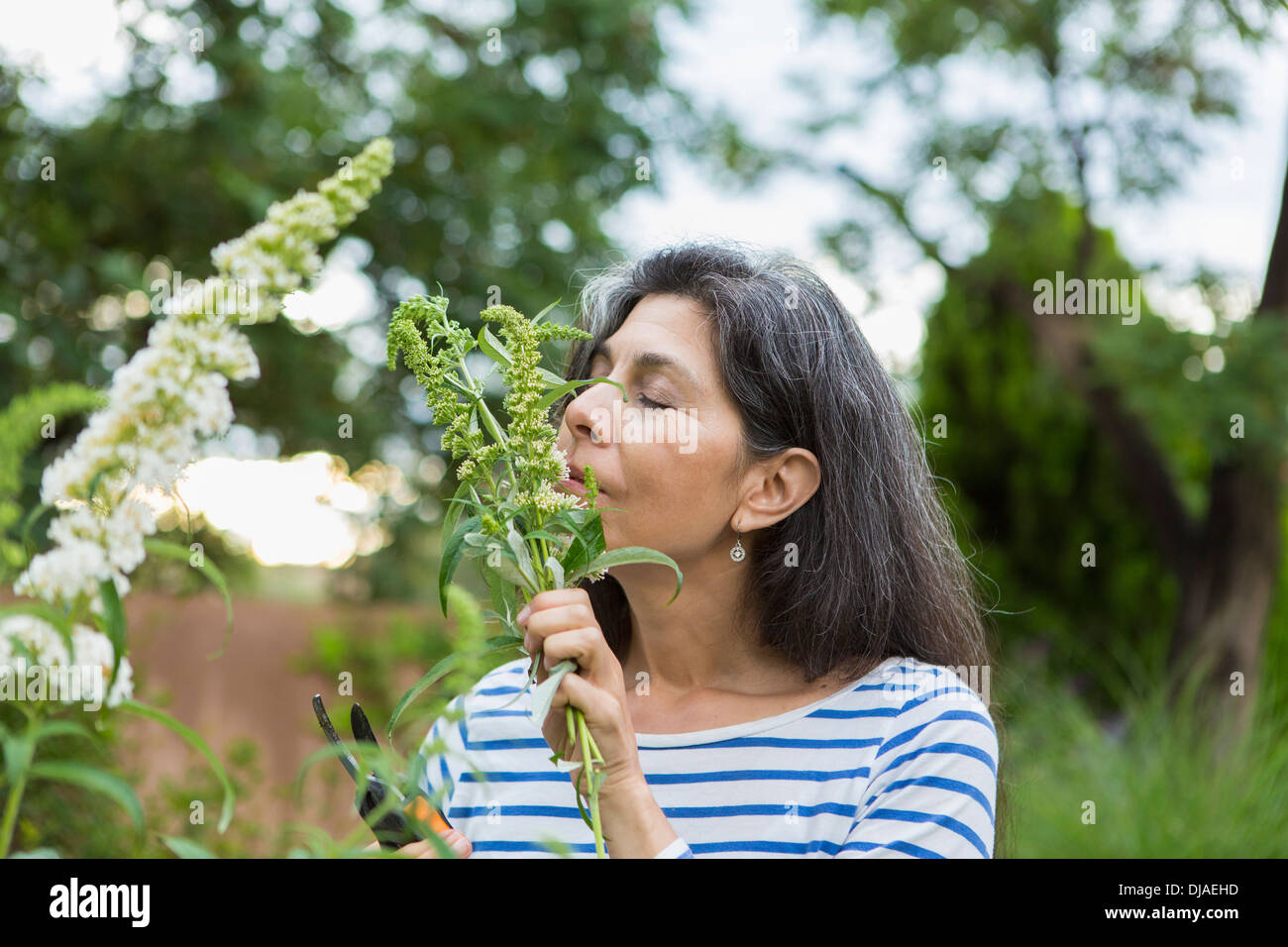 Hispanic woman smelling flowers in garden Stock Photo