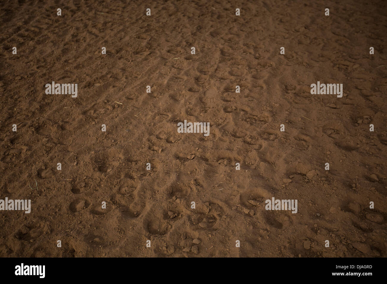 Horse hoof prints hires stock photography and images Alamy
