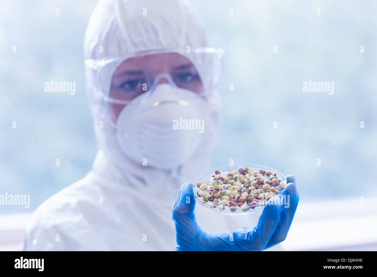 Scientist in protective suit with sprouts Stock Photo