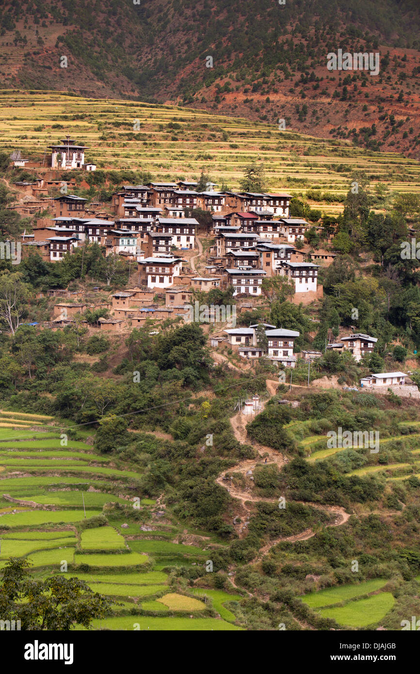 Bhutan, Wangdue Phodrang, small village of farmhouses amongst agricultural terraces Stock Photo