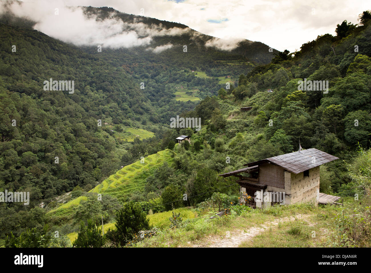 Bhutan, Wangdue Phodrang, small farmhouses amongst steeply sloping terraced fields Stock Photo