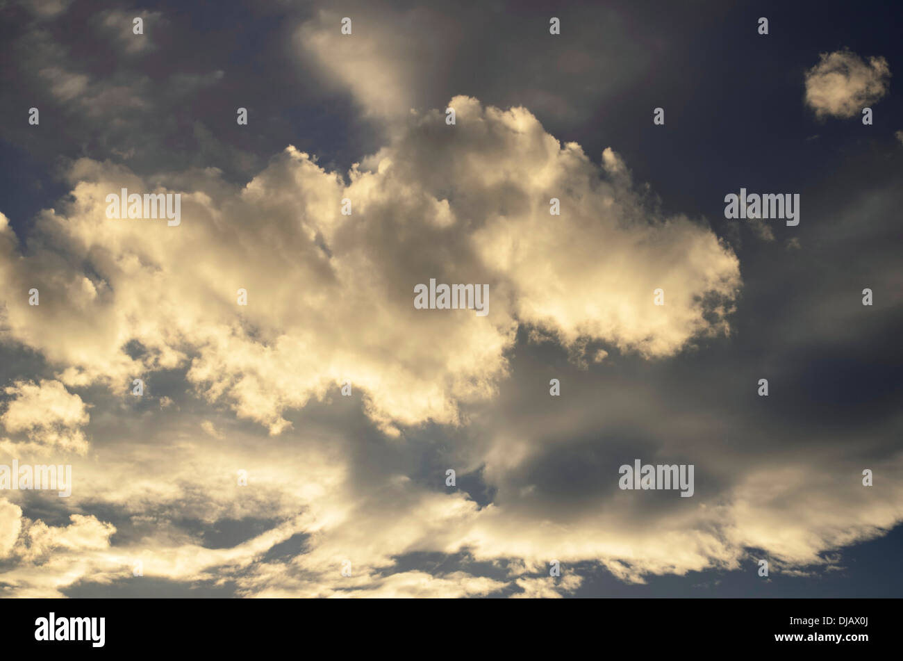 Cumulus clouds in the evening light Stock Photo