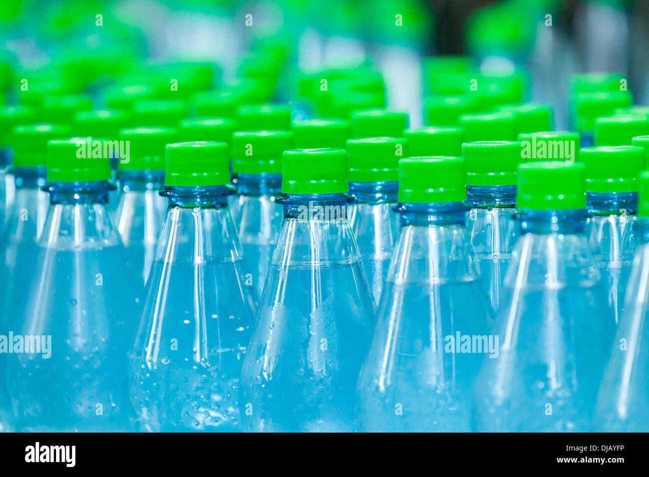 Are Plastic Water Bottles Bad For Dogs